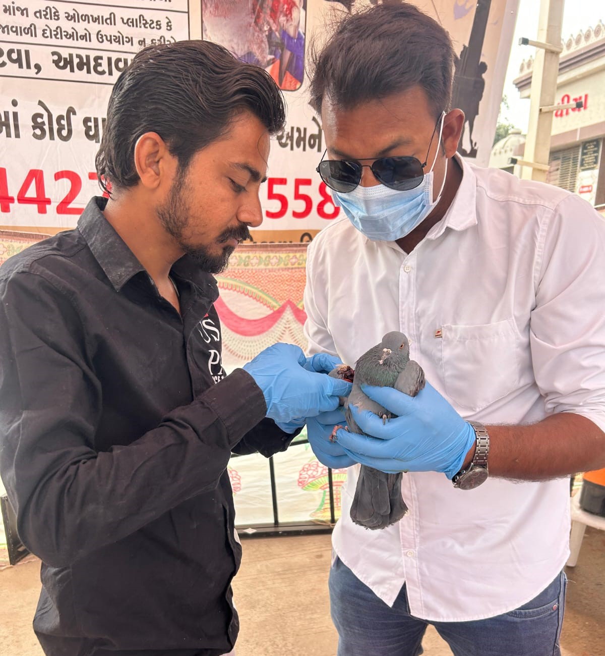 Injured bird rescue by JD Foundation Ahmedabad